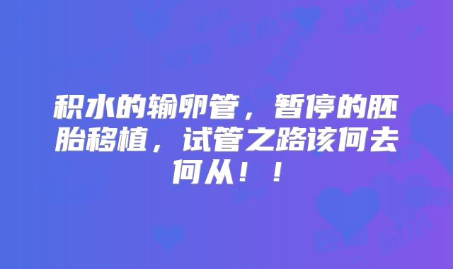 积水的输卵管，暂停的胚胎移植，试管之路该何去何从！！
