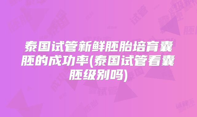 泰国试管新鲜胚胎培育囊胚的成功率(泰国试管看囊胚级别吗)