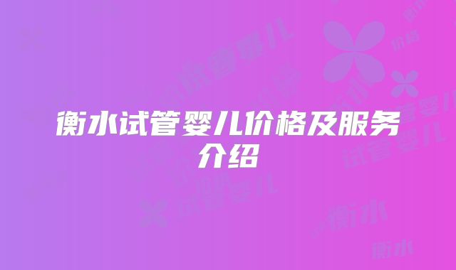 衡水试管婴儿价格及服务介绍