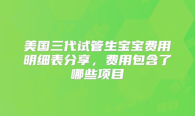 美国三代试管生宝宝费用明细表分享,费用包含了哪些项目