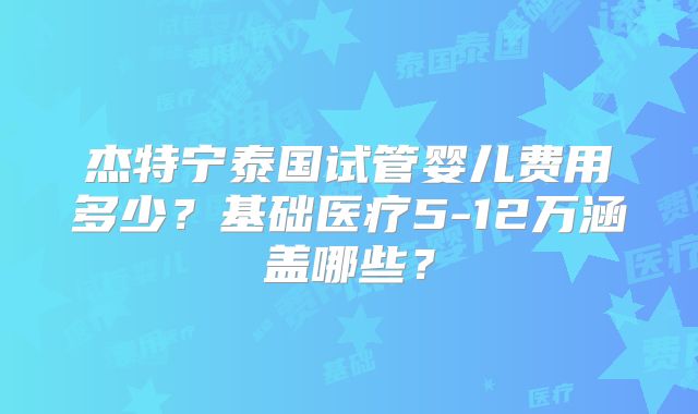 杰特宁泰国试管婴儿费用多少？基础医疗5-12万涵盖哪些？