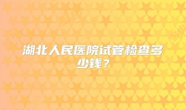 湖北人民医院试管检查多少钱？