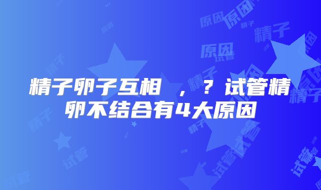 精子卵子互相 ，？试管精卵不结合有4大原因
