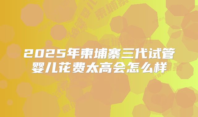 2025年柬埔寨三代试管婴儿花费太高会怎么样