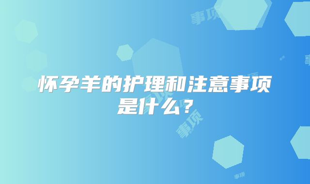 怀孕羊的护理和注意事项是什么？