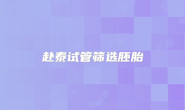 赴泰试管筛选胚胎�