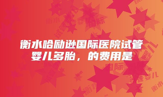 衡水哈励逊国际医院试管婴儿多胎，的费用是