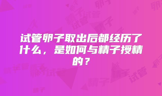 试管卵子取出后都经历了什么，是如何与精子授精的？
