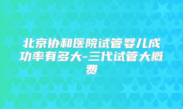 北京协和医院试管婴儿成功率有多大-三代试管大概费