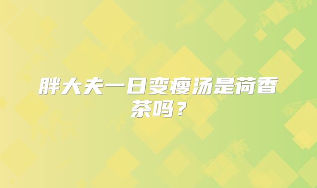 胖大夫一日变瘦汤是荷香茶吗？