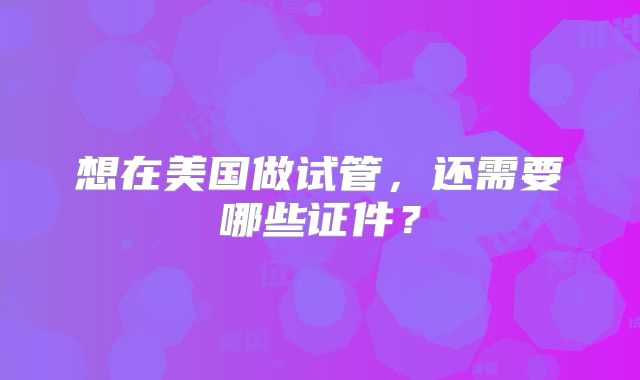想在美国做试管，还需要哪些证件？