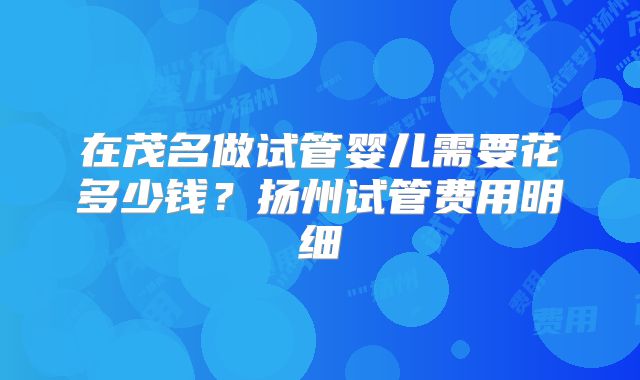 在茂名做试管婴儿需要花多少钱？扬州试管费用明细
