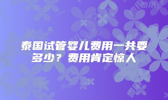 泰国试管婴儿费用一共要多少？费用肯定惊人