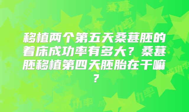 移植两个第五天桑葚胚的着床成功率有多大？桑葚胚移植第四天胚胎在干嘛？