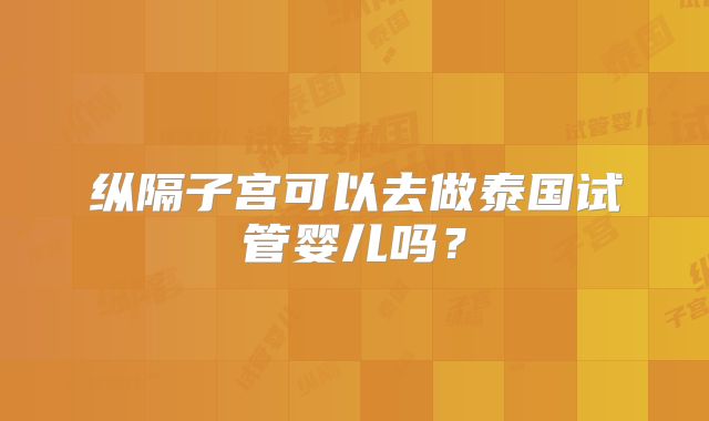 纵隔子宫可以去做泰国试管婴儿吗？