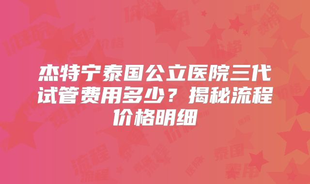 杰特宁泰国公立医院三代试管费用多少？揭秘流程价格明细
