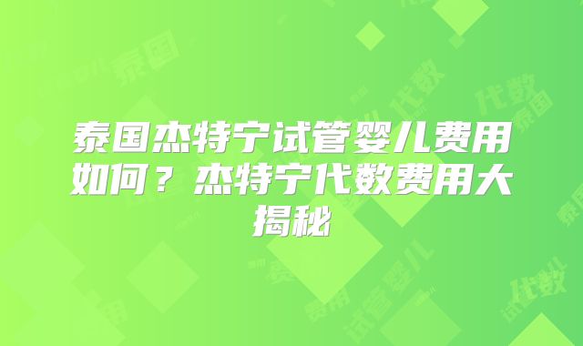 泰国杰特宁试管婴儿费用如何？杰特宁代数费用大揭秘