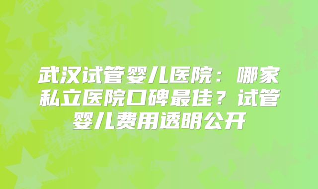 武汉试管婴儿医院：哪家私立医院口碑最佳？试管婴儿费用透明公开