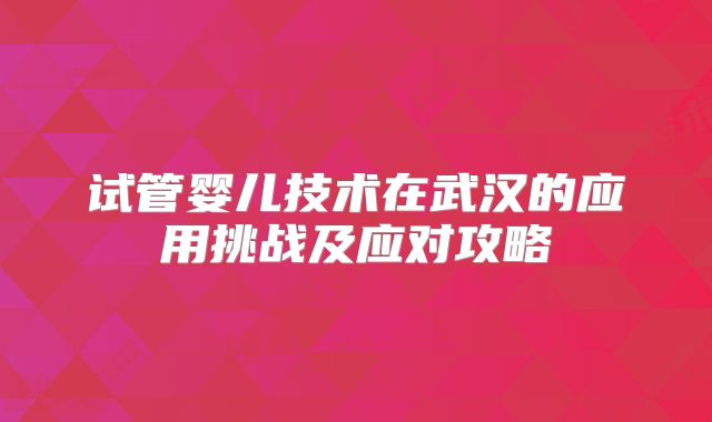 试管婴儿技术在武汉的应用挑战及应对攻略