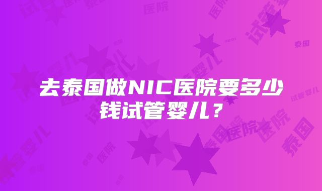 去泰国做NIC医院要多少钱试管婴儿？