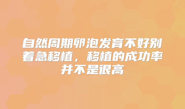 自然周期卵泡发育不好别着急移植，移植的成功率并不是很高