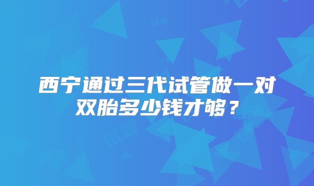 西宁通过三代试管做一对双胎多少钱才够？