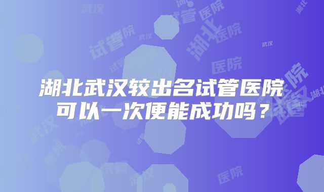 湖北武汉较出名试管医院可以一次便能成功吗?