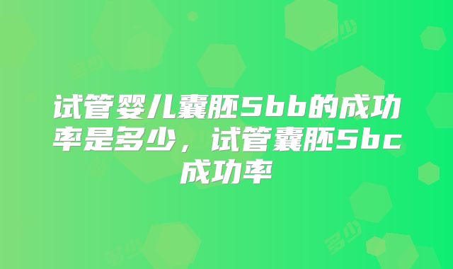 试管婴儿囊胚5bb的成功率是多少，试管囊胚5bc成功率