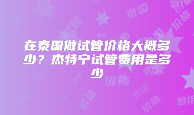 在泰国做试管价格大概多少?杰特宁试管费用是多少
