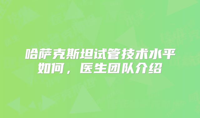 哈萨克斯坦试管技术水平如何，医生团队介绍