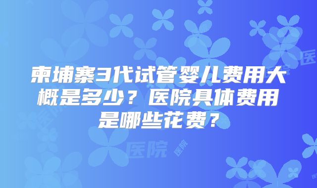 柬埔寨3代试管婴儿费用大概是多少?医院具体费用是哪些花费?