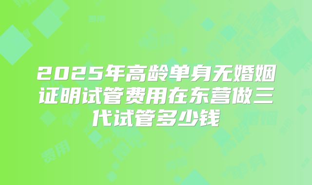 2025年高龄单身无婚姻证明试管费用在东营做三代试管多少钱