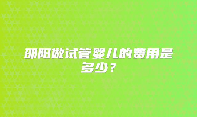 邵阳做试管婴儿的费用是多少？
