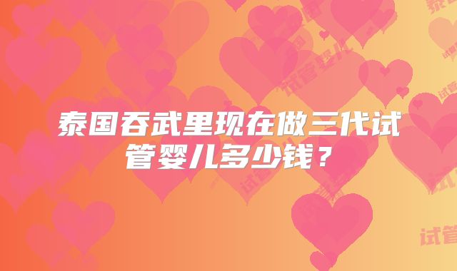 泰国吞武里现在做三代试管婴儿多少钱？