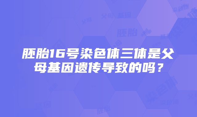 胚胎16号染色体三体是父母基因遗传导致的吗？