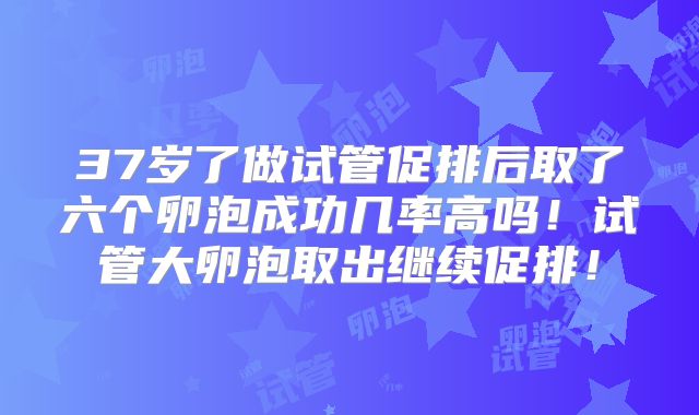 37岁了做试管促排后取了六个卵泡成功几率高吗！试管大卵泡取出继续促排！