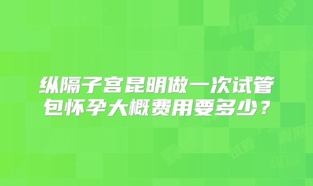 纵隔子宫昆明做一次试管包怀孕大概费用要多少?