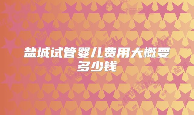 盐城试管婴儿费用大概要多少钱