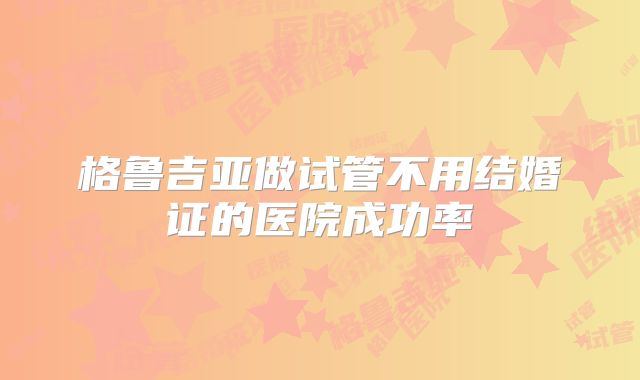 格鲁吉亚做试管不用结婚证的医院成功率