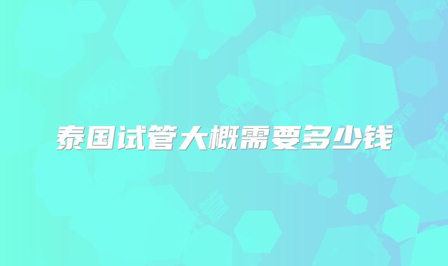 泰国试管大概需要多少钱
