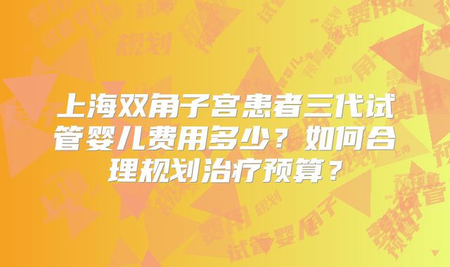 上海双角子宫患者三代试管婴儿费用多少？如何合理规划治疗预算？