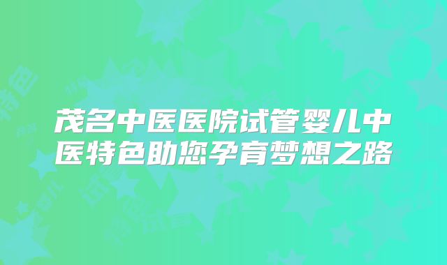 茂名中医医院试管婴儿中医特色助您孕育梦想之路