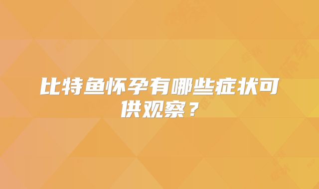 比特鱼怀孕有哪些症状可供观察？