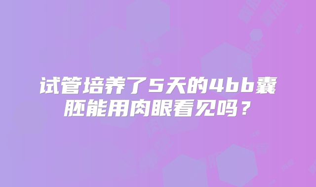 试管培养了5天的4bb囊胚能用肉眼看见吗?