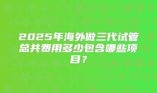 2025年海外做三代试管总共费用多少包含哪些项目？