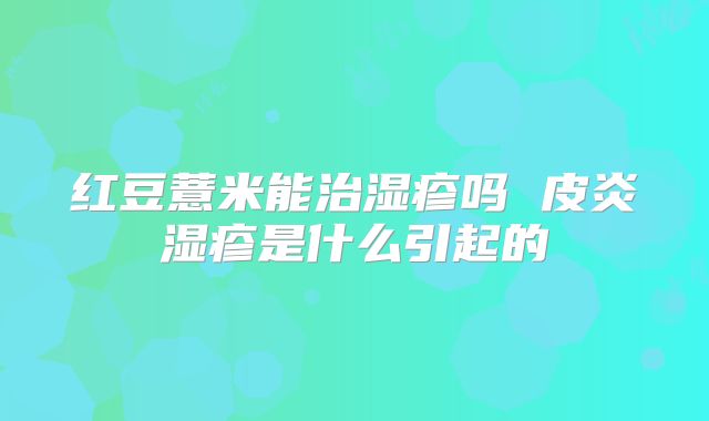 红豆薏米能治湿疹吗 皮炎湿疹是什么引起的