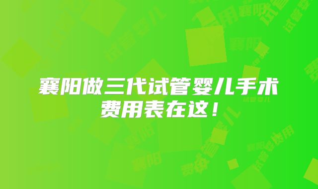 襄阳做三代试管婴儿手术费用表在这！