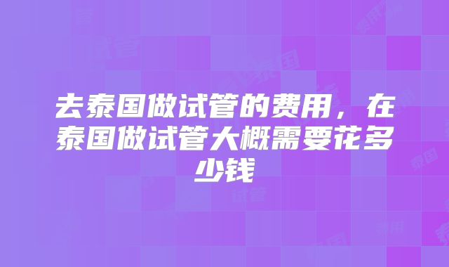 去泰国做试管的费用，在泰国做试管大概需要花多少钱