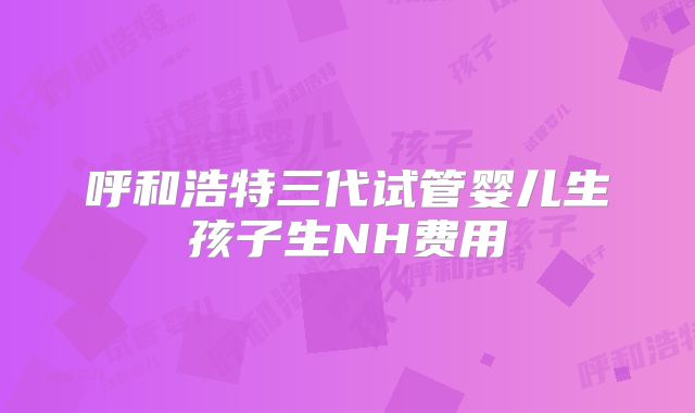呼和浩特三代试管婴儿生孩子生NH费用
