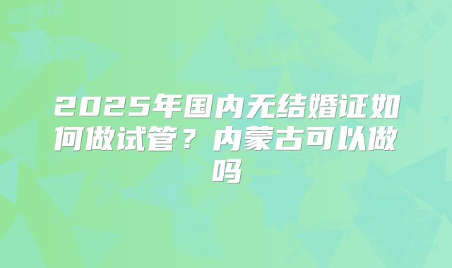 2025年国内无结婚证如何做试管?内蒙古可以做吗